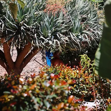 Old Fisherman's Corner 18 - Centro Old Town Apartament